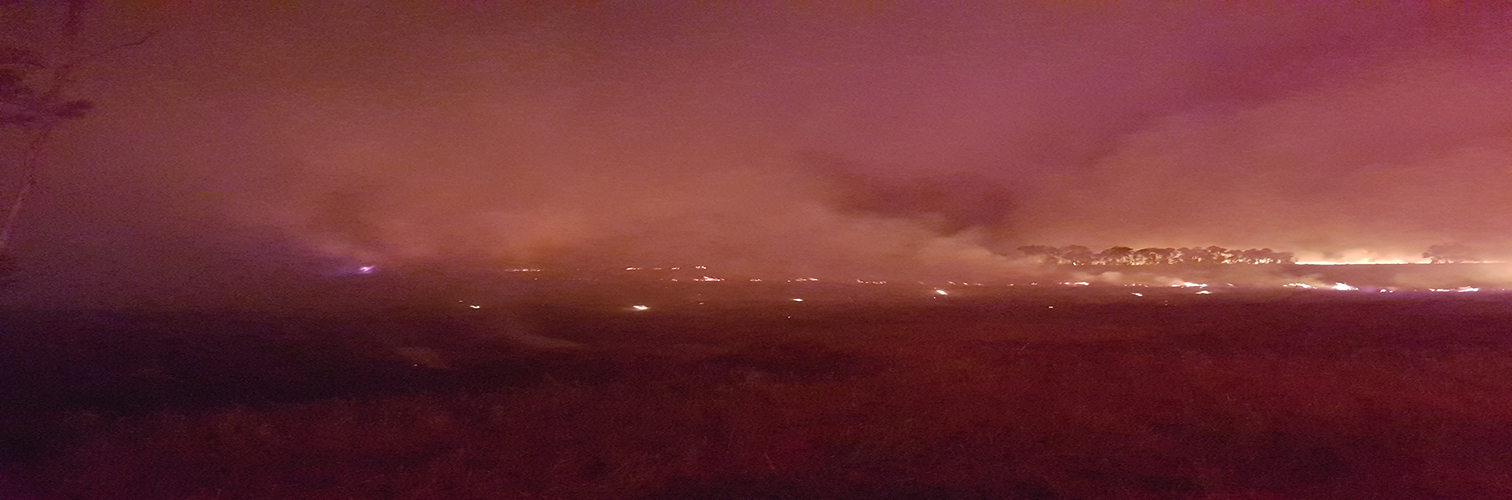 Bushfire